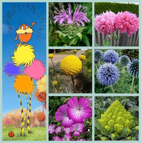 what flowers are inspired from dr suess